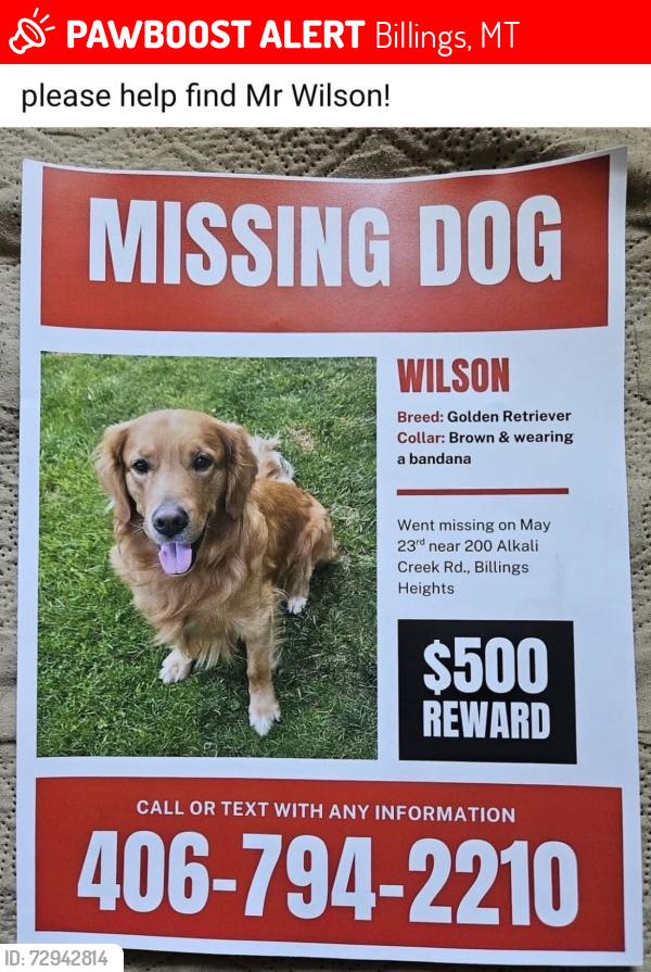 Lost Male Dog last seen Alkali creek 59105, Billings, MT 59101