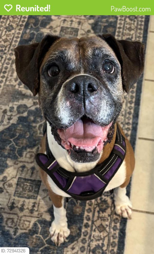 Reunited Unknown Dog last seen Columbia SC, Columbia, SC 29211