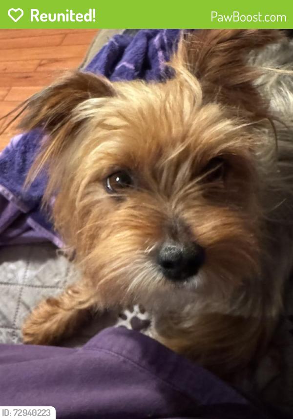 Reunited Female Dog last seen South St, Richmond, CA 94804, USA, Richmond, CA 94804