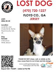Lost Female Dog last seen chulio rd, Rome, GA 30161
