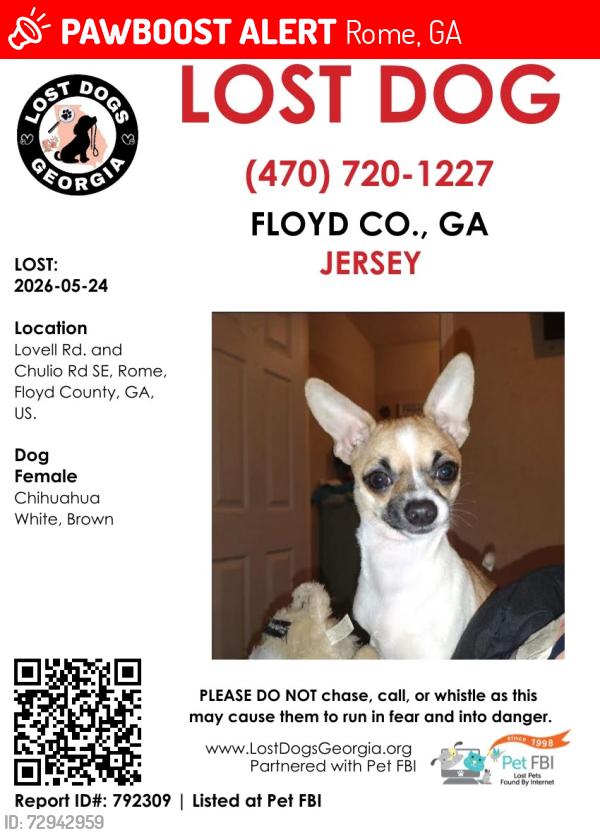 Lost Female Dog last seen chulio rd, Rome, GA 30161