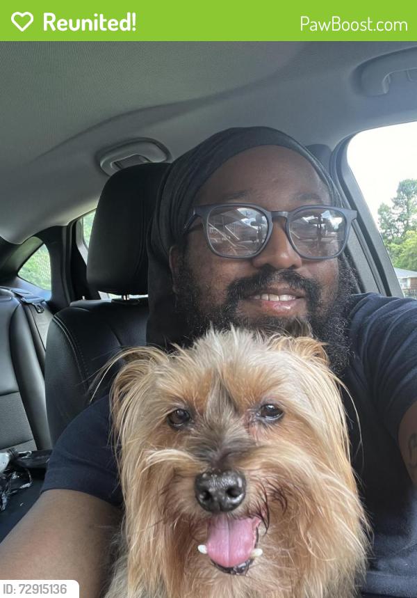 Reunited Male Dog last seen Manchester, alcy, Bridgeport , Memphis, TN 38114
