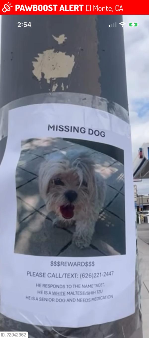 Lost Male Dog last seen Deana penn mar ave , El Monte, CA 91731