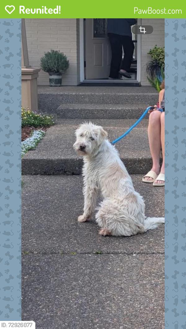 Reunited Male Dog last seen SW 52nd Avenue , Portland, OR 97219