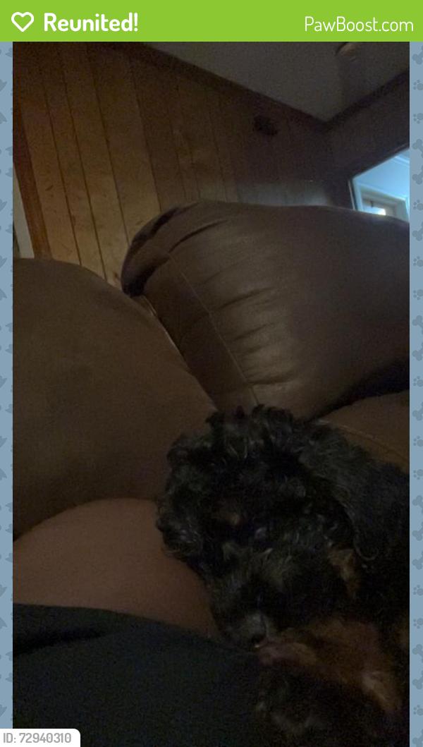 Reunited Male Dog last seen Norwood Lane in Sam Harrell rd, Florence, SC 29506