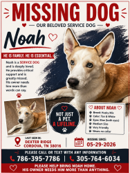 Reunited Male Dog last seen Dexter Ridge, Memphis, TN 38016