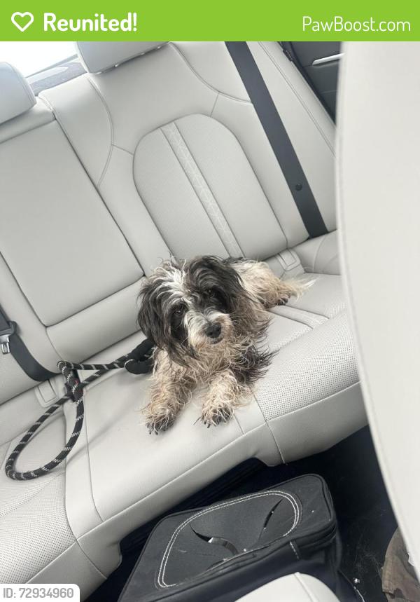 Reunited Male Dog last seen SE 80th and Dawn Cir, Oklahoma City, OK 73135