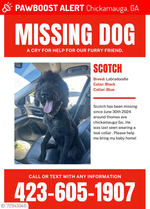 Lost Male Dog last seen Chickamauga , Chickamauga, GA 30707