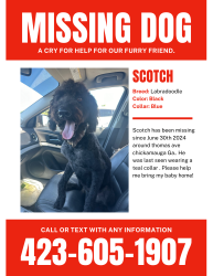 Lost Male Dog last seen Chickamauga , Chickamauga, GA 30707