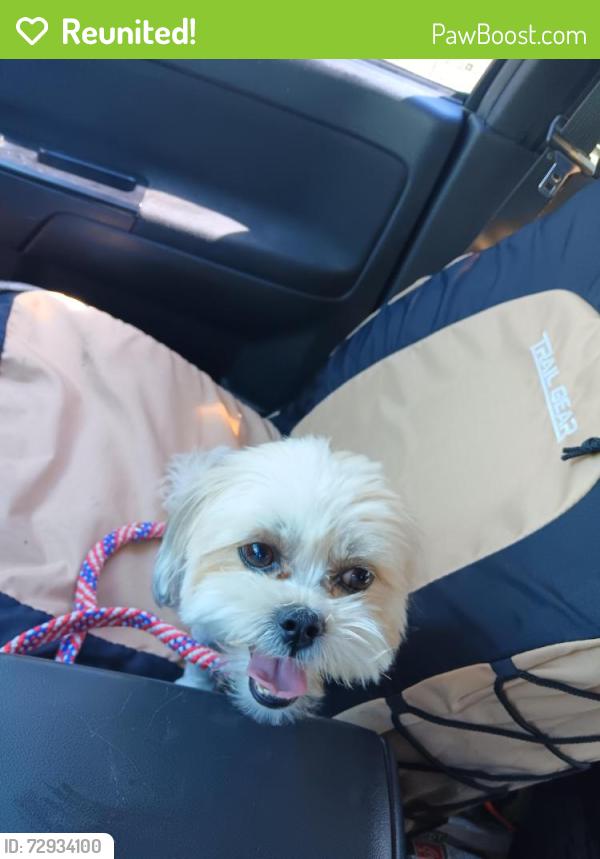 Reunited Female Dog last seen Embudo Hills, Albuquerque, NM 87112