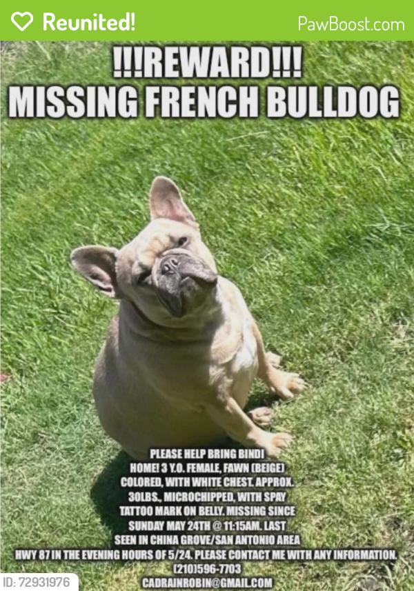 Reunited Female Dog last seen HWY 87 China Grove/San Antonio, TX in Country Air Mobile Home Park, China Grove, TX 78263