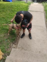 Reunited Unknown Dog last seen Riverview library , Saint Paul, MN 55107