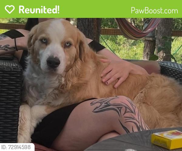 Reunited Male Dog last seen Garden of God's, Colorado Springs, CO 80829