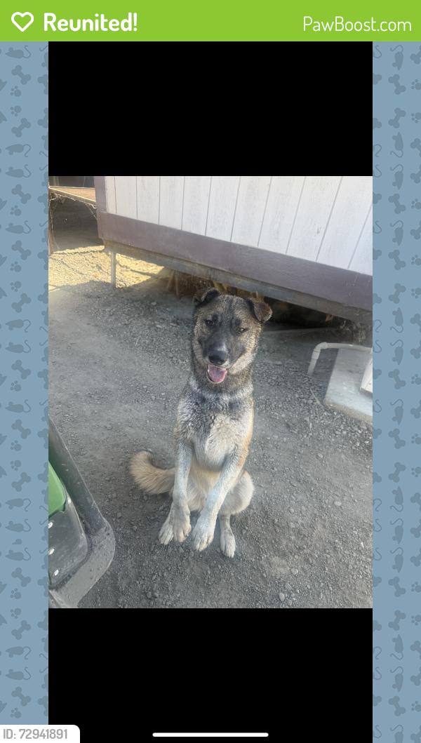 Reunited Male Dog last seen Thermal,CA, Thermal, CA 92274