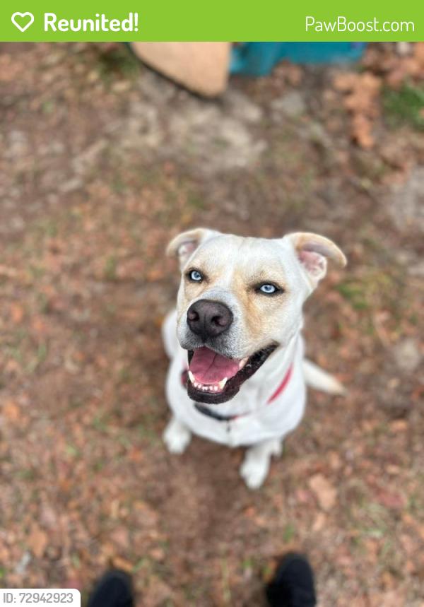 Reunited Male Dog last seen W Heather Ct, Homosassa Springs, FL 34446, USA, Homosassa Springs, FL 34446