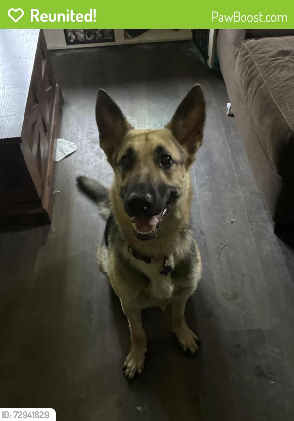 Reunited Female Dog last seen Near n martin st quinlan texas, Quinlan, TX 75474