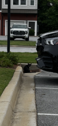 Found/Stray Unknown Cat last seen Victor Ave, Greer, apmt complex , Greer, SC 29651