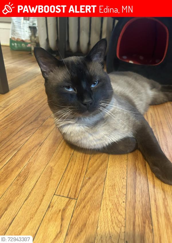 Lost Male Cat last seen Yancey park Edina MN 55436, Edina, MN 55436