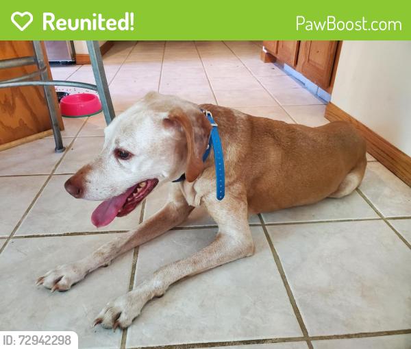 Reunited Male Dog last seen Near Vincent Ave. SE, Alto, MI 49302