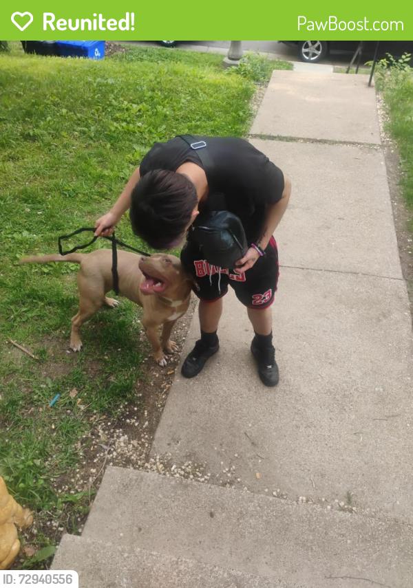 Reunited Unknown Dog last seen Riverview library , Saint Paul, MN 55107