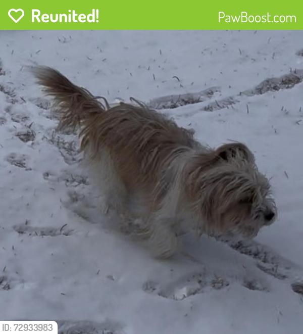 Reunited Female Dog last seen Dalmore dr Fayetteville NC, Fayetteville, NC 28311