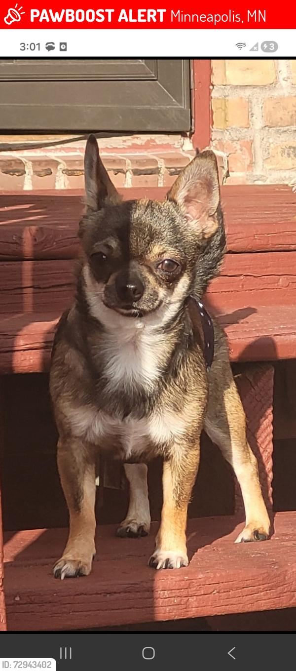 Lost Male Dog last seen The park or hiawatha hiway , Minneapolis, MN 55407