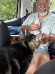 Reunited Female Cat last seen Wooded area behind WaWA at E 600 , Chesterfield County, VA 23836