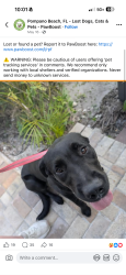 Lost Female Dog last seen Near SW 14th St Deerfield Beach, FL  33441 United States, Deerfield Beach, FL 33441