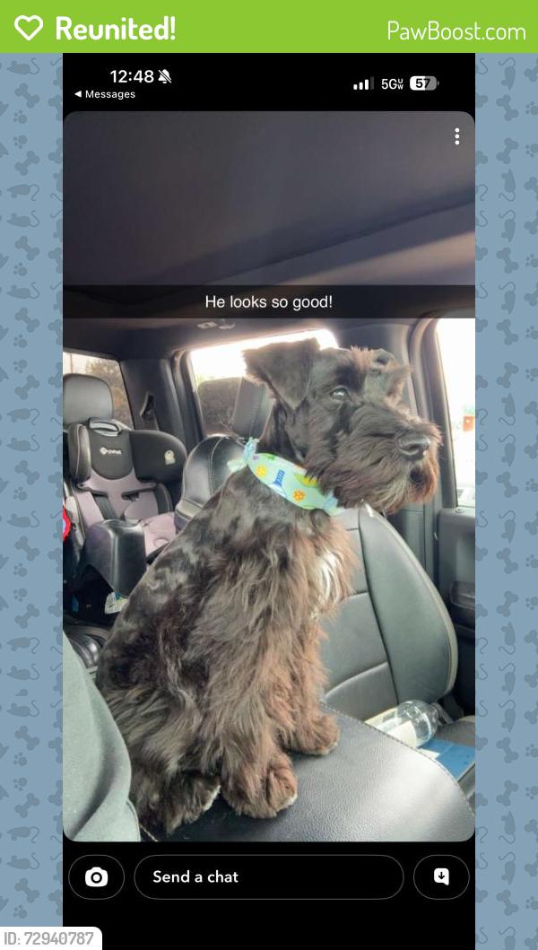 Reunited Male Dog last seen Near W Ohio Ave, Midland, TX 79703, USA, Midland, TX 79703