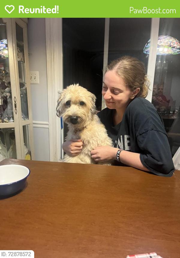 Reunited Female Dog last seen Folger Court, Julian , Julian, NC 27283
