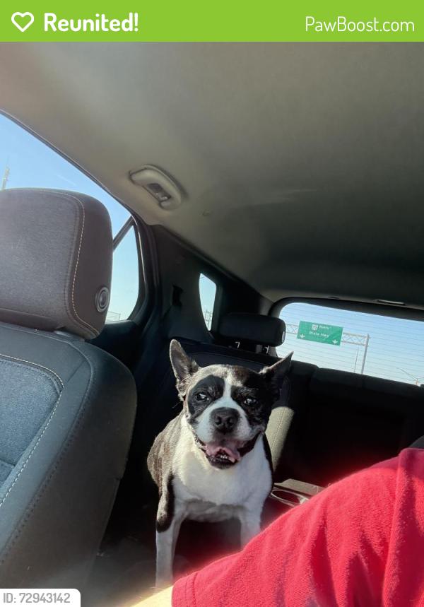 Reunited Male Dog last seen Near W Boundary St, Perrysburg, OH 43551, USA, Perrysburg, OH 43551