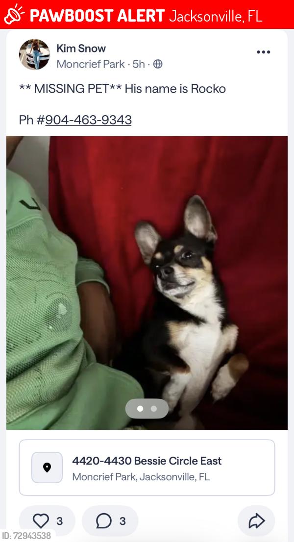 Lost Male Dog last seen Police Athletic League , Jacksonville, FL 32209