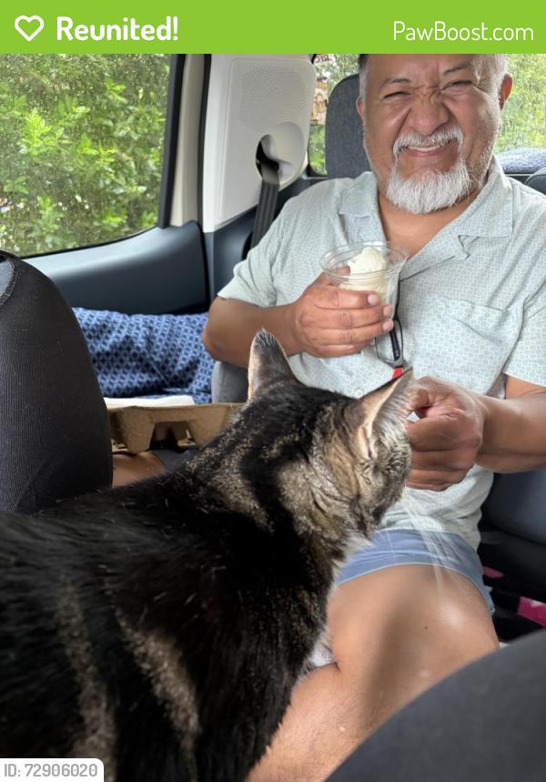 Reunited Female Cat last seen Wooded area behind WaWA at E 600 , Chesterfield County, VA 23836