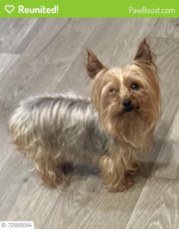 Reunited Female Dog last seen Morrow Rd, Forest Park, GA 30297