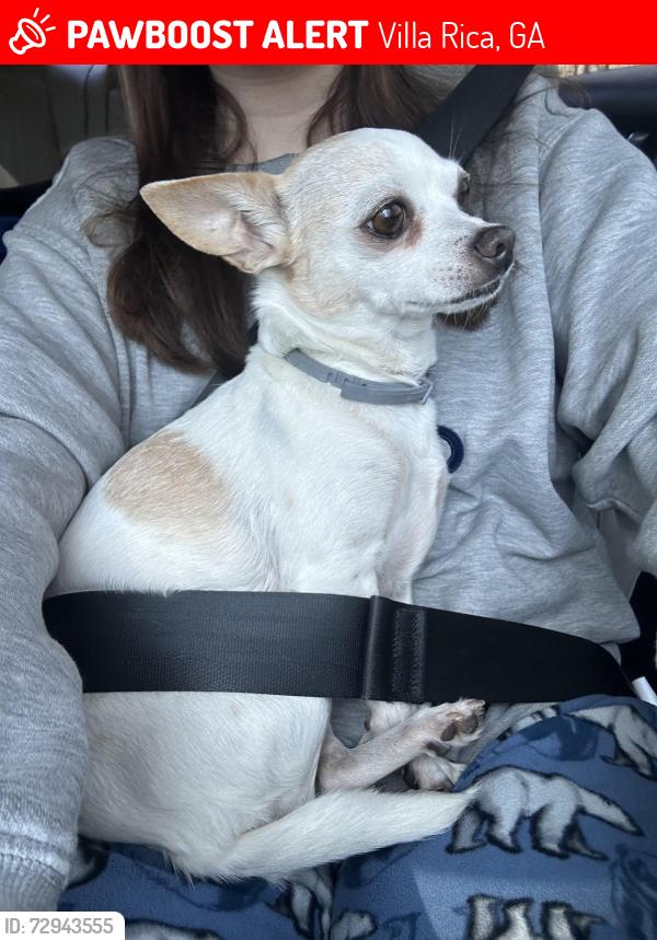 Lost Female Dog last seen Wesley Chapel United Methodist church , Villa Rica, GA 30180