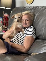 Reunited Female Dog last seen Sandy ridge road, High Point, NC 27265