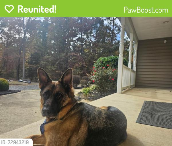Reunited Female Dog last seen Fawn Lake, Spotsylvania Courthouse, VA 22551