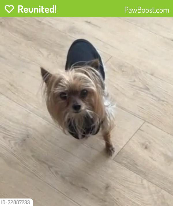 Reunited Male Dog last seen Close toSeminary - The Church of Jesus Christ of Latter-day Saints, Layton, UT 84041
