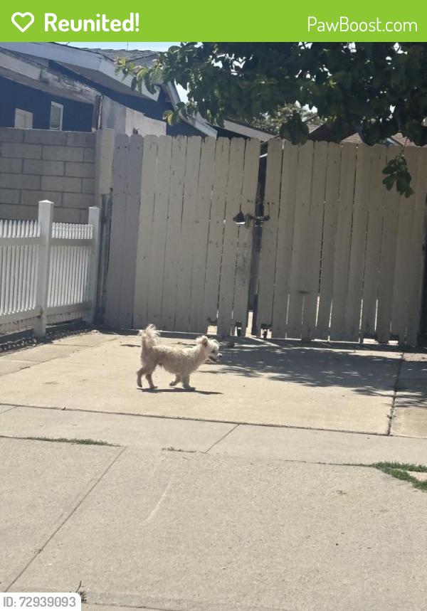 Reunited Male Dog last seen Near 17th St, Santa Ana, CA 92705, USA, Santa Ana, CA 92705
