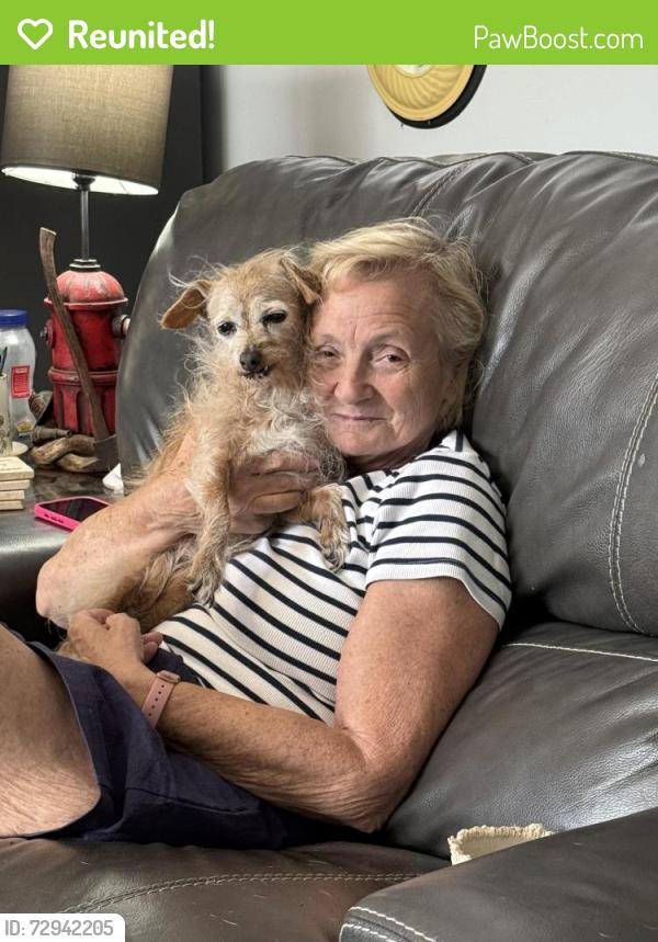Reunited Female Dog last seen Sandy ridge road, High Point, NC 27265