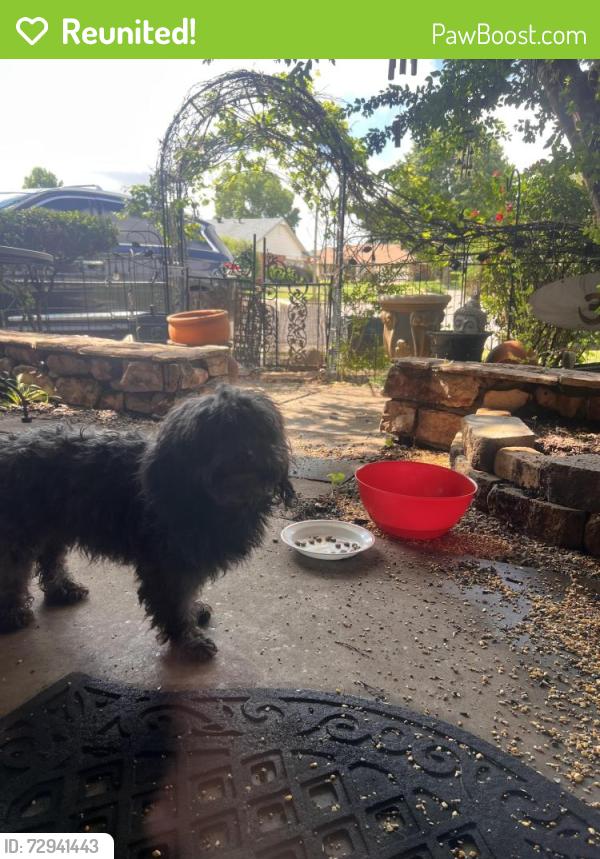 Reunited Female Dog last seen Eden Drive and Mackleman , Oklahoma City, OK 73135
