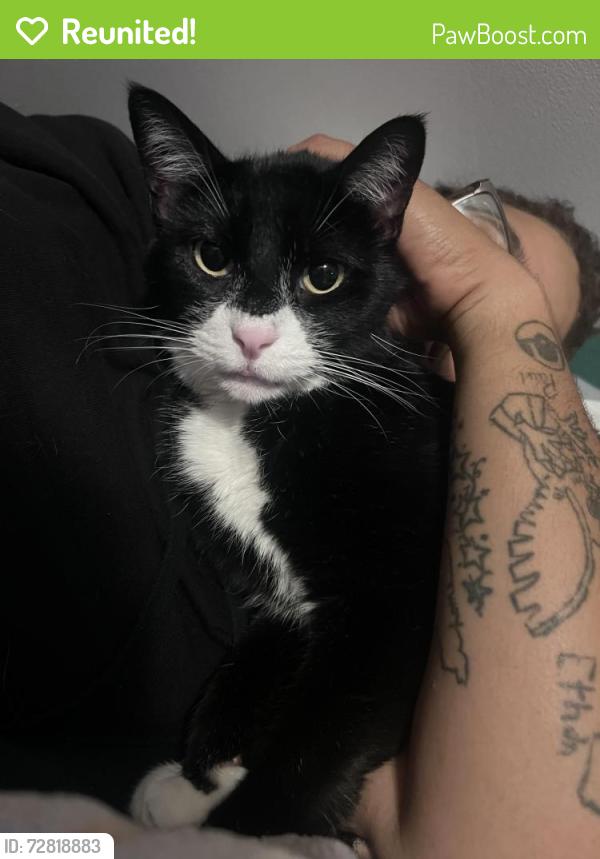 Reunited Male Cat last seen Western reserve , Crescent Springs, KY 41017