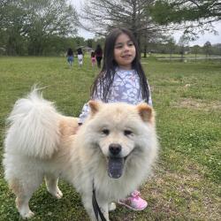 Lost Male Dog last seen Near e interstate 30 garland texas 75043, Garland, TX 75043