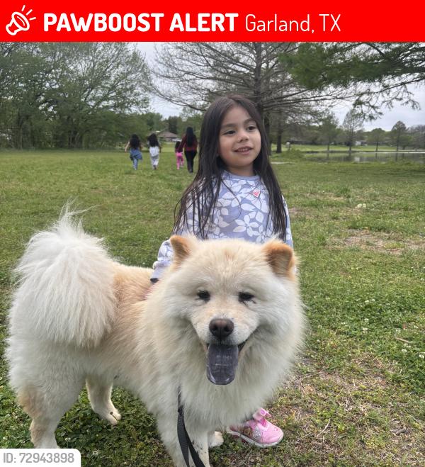 Lost Male Dog last seen Near e interstate 30 garland texas 75043, Garland, TX 75043