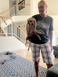 Reunited Female Dog last seen E. Union hills drive , Phoenix, AZ 85032