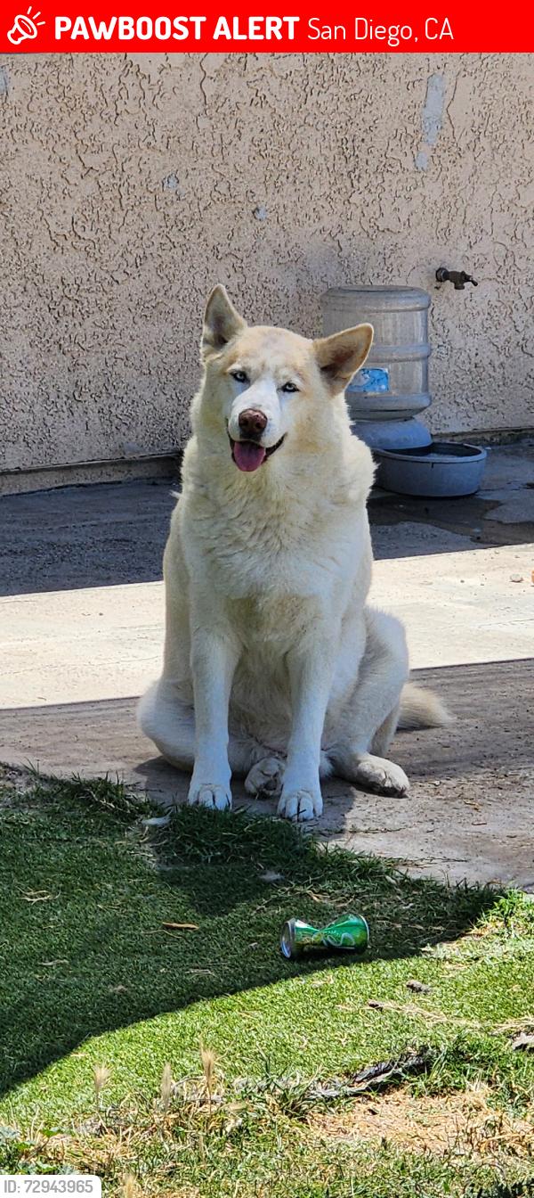 Lost Male Dog last seen Dusk dr, San Diego, CA 92139