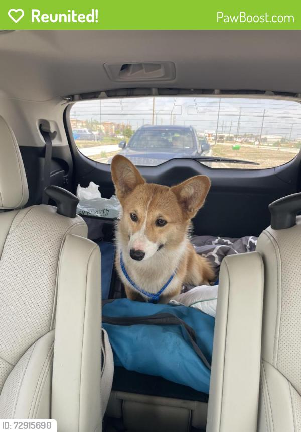 Reunited Male Dog last seen Bonds Ranch Road and Business 287, Fort Worth, TX 76179