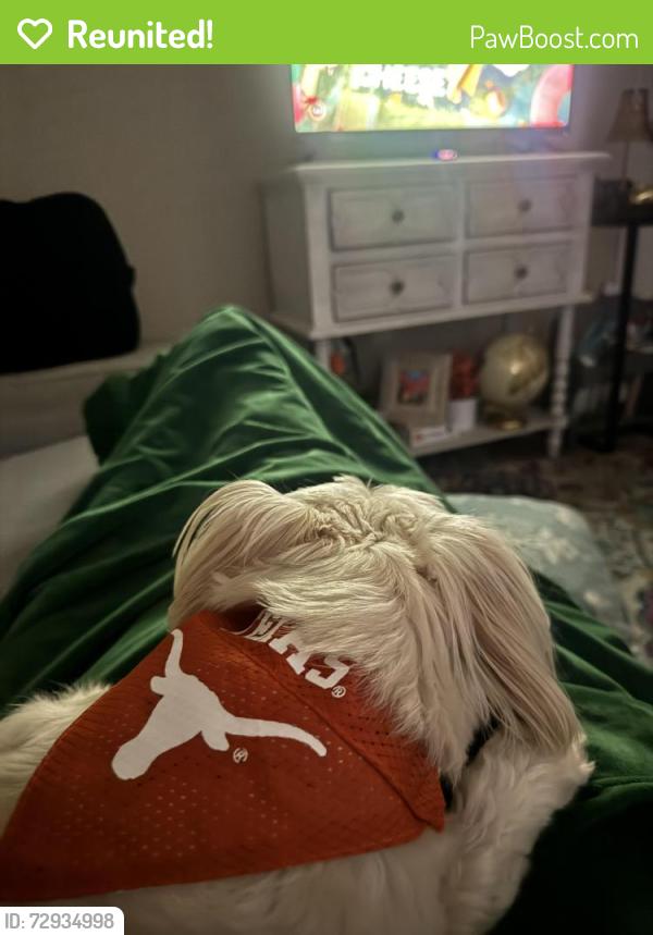 Reunited Male Dog last seen Milo apmts by Spectrum , Austin, TX 78759