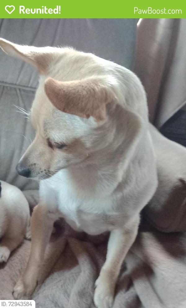 Reunited Female Dog last seen Miner , Stockton, CA 95205