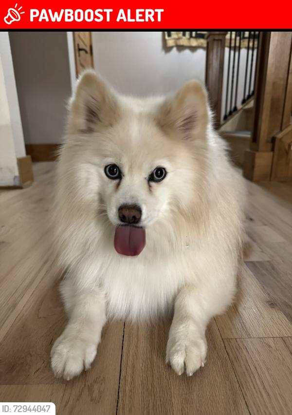 Lost Female Dog last seen Quincy and Monaco Parkway, Cherry Hills Village, CO 80111